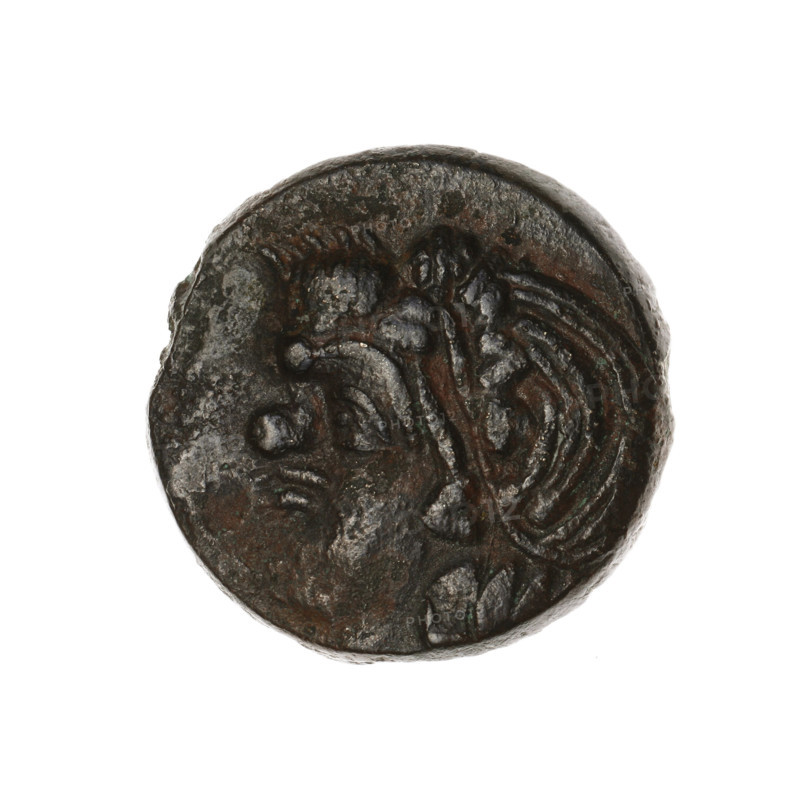 Bronze coin, Pantikapaion; obverse: head of a beardless satyr in an ivy wreath facing left; reverse: lion's head facing left with a sturgeon below it facing left, letters at the top and sides; iconography: satyr, lion, animals, fish, sturgeons; Cimmerian Bosporus (Pantikapaion), ca. 315–300 BC; weight 8.00 g; axis 330°; dimensions ~18.4 × 19 mm.