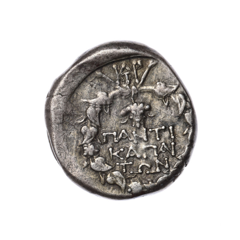 Didrachma, Pantikapaion; obverse: head of Dionysus in an ivy wreath facing right; reverse: ivy wreath with a monogram above it, an inscription in three rows inside, and a bunch of grapes at the top. Iconography: wreaths, grapes, head of Dionysus, ivy wreath, plants, Dionysus (mythology), monograms. Date: 1st quarter of the 1st century BC (95–65 BC). Region: Cimmerian Bosporus, Pantikapaion. Coin; weight 8.45 g; dimensions 21.7 mm and 20.4 mm. Makers/attributions: Terlecki, Ignatius (1860–1916) noted.