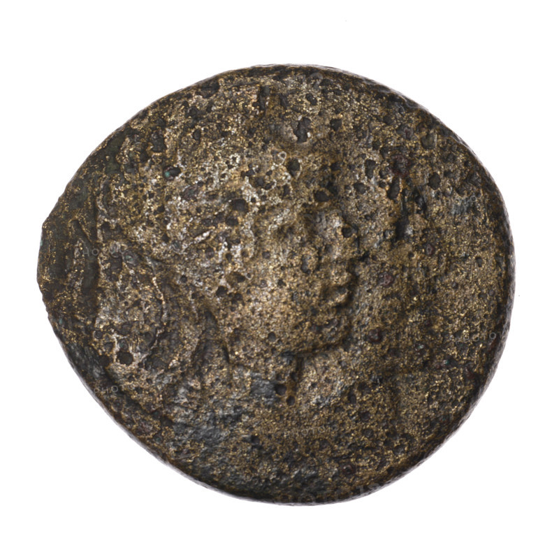 bronze coin, Pantikapaion; aw: head of Attys in a Phrygian cap decorated with stars and in a laurel wreath facing right, at the top a crescent and a star; rw: standing Dionysus in a short robe 3/4 to the left, holding a bunch of grapes in his right hand and a thyrsus with a ribbon in his left, a panther seated to the left at his feet with head turned; monograms; inscription in two rows on the sides; motifs: panthers, grapes, plants, crescent with a star, head of Men; iconograms: Dionysus, head of Attys, head of Men; men/Attys/ Dionysus (mythology); Cimmerian Bosporus, Pantikapaion; coin; bronze; 1st quarter of the 1st century BC (95–65 BC); weight 18.15 g; diameters 28.8 mm and 31.3 mm.
