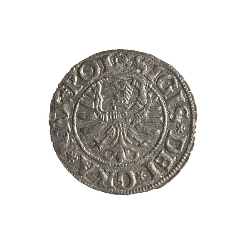 Gdansk szelag, Sigismund I the Old (King of Poland; 1506–1548); Polish coin (1532). Obverse: Eagle of Royal Prussia; in the rim between pearl-shaped borders the inscription '.SIGIS.DEI.GRA.' Reverse: Coat of arms of Gdansk; in the rim between pearl-shaped borders the inscription '.MONE.CIVI.DANCZ.153Z'. Subjects/icons: eagle (coat of arms), Jagiellon dynasty, coats of arms; place: Gdansk, Poland.