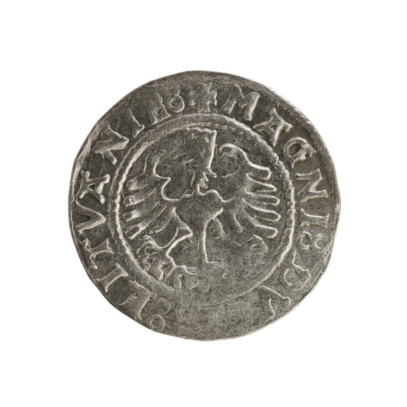 Lithuanian half-grosz, Sigismund I the Old (king of Poland; 1506–1548). Polish coin (Jagiellon dynasty), 1529. Obverse: Pursuer (Lithuania) turned left; inscription in rim between pearl borders: + MON :SIGISMVNDI:1529. Reverse: Crowned Polish eagle; inscription in rim between pearl borders: + MAGNI:DV:LITVANI. Minted in Vilnius, Grand Duchy of Lithuania.