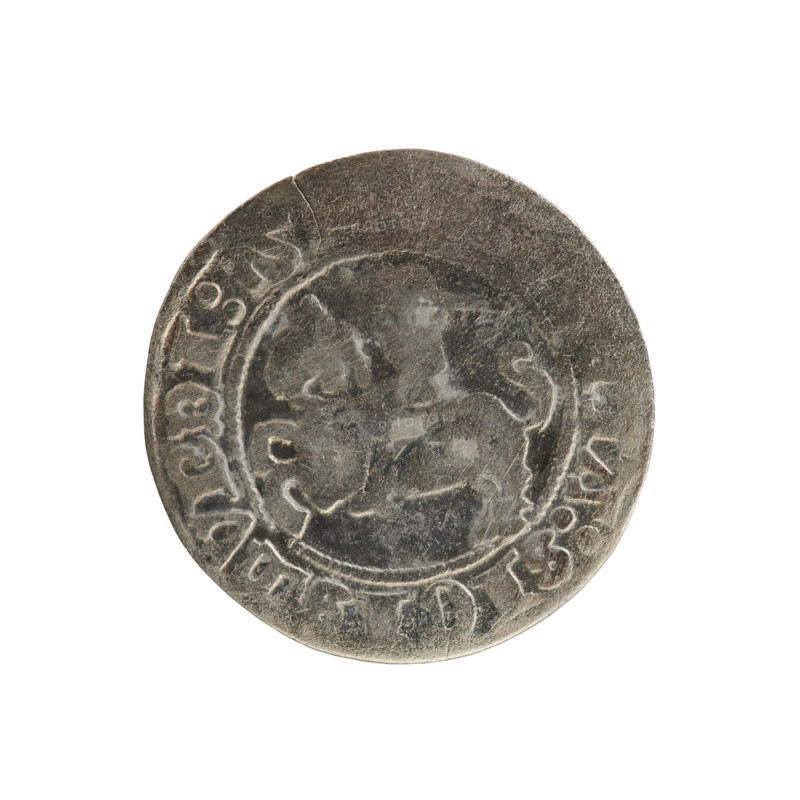 Lithuanian half-grosz, Sigismund I the Old (King of Poland; 1506–1548). Polish coin, Jagiellon dynasty. Obverse: Pogon (Lithuanian coat of arms) turned left; in the rim between pearly borders an inscription: TA:SIGISMVNDI:15. Reverse: Polish crowned Eagle; in the rim between pearly borders an inscription: + MAGNI, LITVANIE, 1508 - 1529. Material: coin; place: Poland, Grand Duchy of Lithuania, Vilnius.