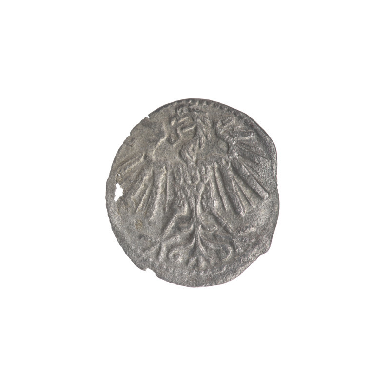 Lithuanian denarius, Sigismund II Augustus (King of Poland; 1544–1572); emblems of the Jagiellons dynasty; Polish eagle and Lithuanian Pursuer emblems. Obverse: Polish eagle in the rim. Reverse: Lithuanian Pursuer in the rim, below the year 1548. Dated 1548. Grand Duchy of Lithuania, Vilnius. Coin; diameters 11.5 mm and 12.5 mm; weight 0.24 g.