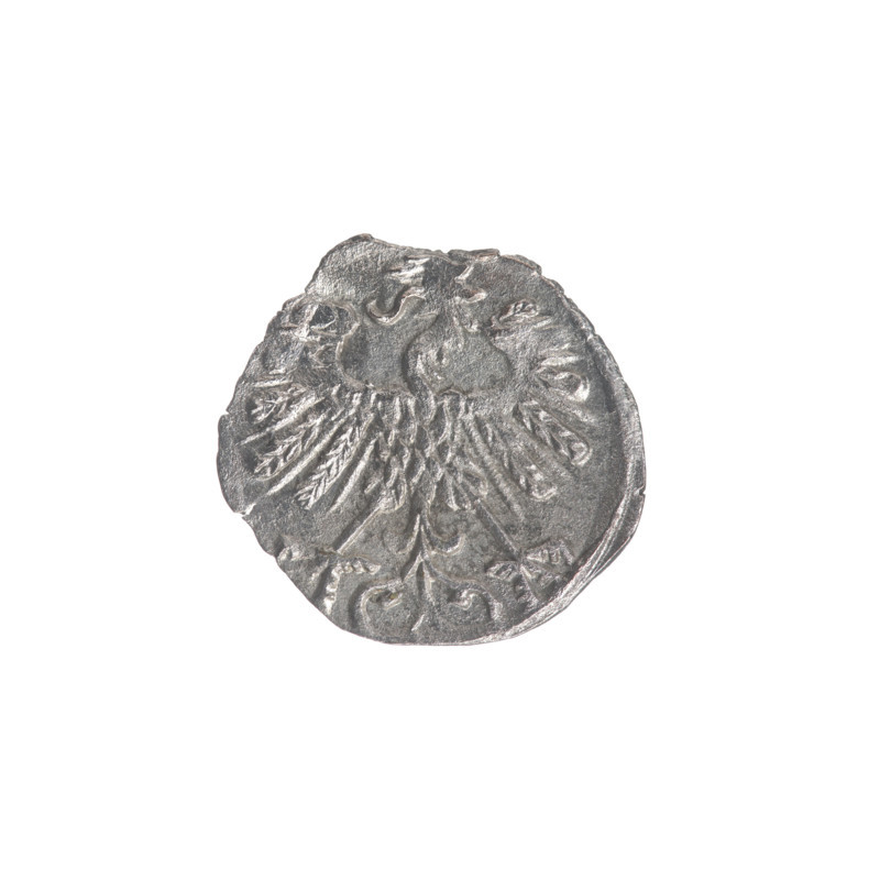 Lithuanian denarius, Sigismund II Augustus (King of Poland; 1544–1572); emblems of the Jagiellons (dynasty); Polish coins; eagles (Eagle emblem) and Pursuer (Pursuer emblem; Lithuania). Obverse: Polish Eagle in the rim. Reverse: Lithuanian Pursuer in the rim, below the year 1556. Dated 1556. Grand Duchy of Lithuania, Vilnius, Poland. Coin; diameter 12.0–12.5 mm; weight 0.3 g.