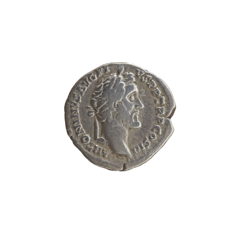 Denarius of Antoninus Pius (86–161; Roman Emperor 138–161), issuer. Obverse: head of Antoninus Pius in a laurel wreath facing right, inscription ANTONINVS AVG PIVS PP TR P COS III. Reverse: container (modius) with four ears of corn and a poppy head, inscription ANNONA AVG. Iconography: ears of corn, poppy heads, cereals; modi. Date: 140–144. Roman Empire (27 BC–476), Rome. Coin: diameter 17.0–17.5 mm, weight 2.76 g, axis 15°.