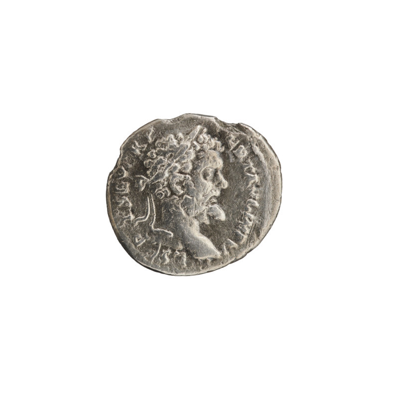 Denarius, Roman Empire, Septimius Severus (Roman emperor; 146–211) — iconography: Fortuna (personification) standing. Obverse: L·SEP·T·SEVERP·ERTAVGIMPV Head of Septimius Severus with laurel wreath facing right, pearl border. Reverse: TR·EDVC Fortuna standing facing left, holding a cornucopia in each hand, pearl border. Laodicea ad Mare, Roman Empire (27 BC–476). Coin: diameter 16.0–17.8 mm, weight 2.71 g.