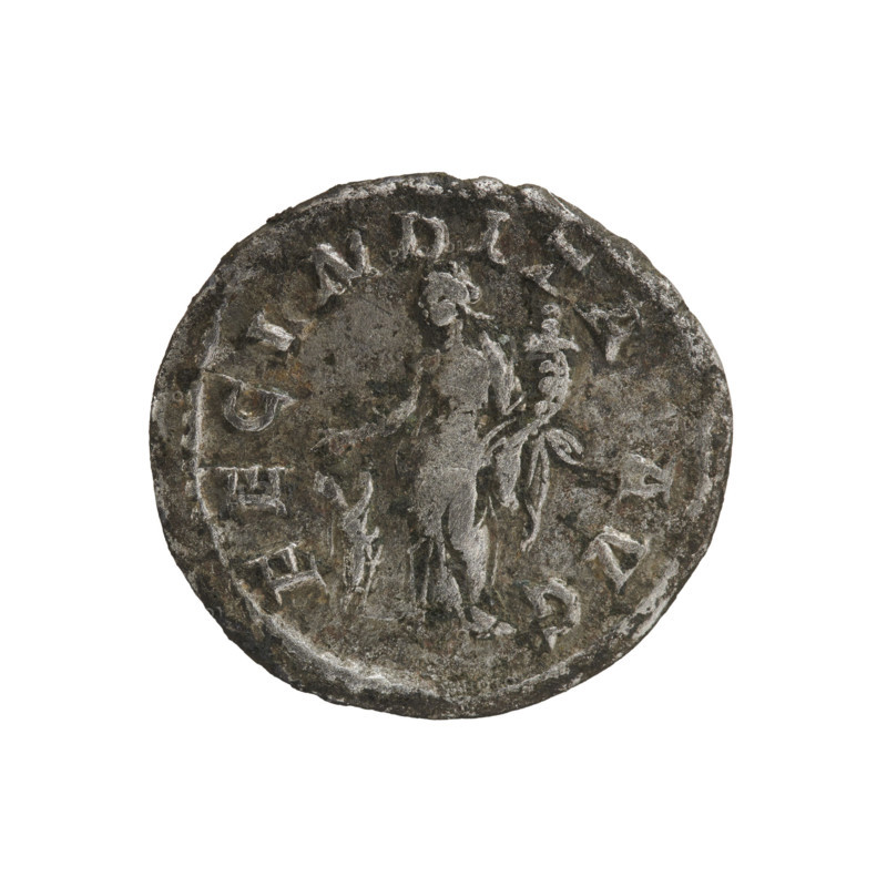 denarius, Julia Maesa (ca. 160–224; Augusta 218–224), Roman Empire. Obverse: Draped bust of Julia Maesa facing right, pearl border, inscription 'IVLIA MAESA AVG'. Reverse: Fecunditas standing left, holding a cornucopia in her left hand and stretching her right hand above the head of a child standing at her feet, pearl border, inscription 'FECVNDITAS AVG'. 218–223. Coin. Diameter: 18.0–19.5 mm; weight: 2.65 g.