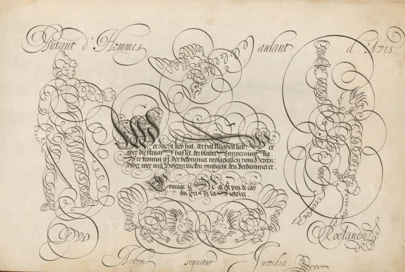 Writing sample: Wer zücht heb hat, 't Magazin oft pac-huys der loffelycker penn-const, print, album page, ornamental print, Writing sample with an ornamented initial W and four lines of text in German: Wer zücht heb hat ... Various figures in scrollwork. The text is flanked by a man with a sword and a satyr. At the top a bird and at the bottom two roosters., printmaker: Simon Frisius, after design by David Roelands, publisher: David Roelands, Flushing, 1616 - 1617, Simon Frisius, David Roelands, printmaker, after design by, publisher, paper, engraving, gravure, height 228 mm x width 345 mm, calligraphy, The image shows a cream-colored sheet filled with dark, flowing ornamental linework forming looping spirals and elegant flourishes that outline stylized human figures and decorative motifs; on the left a standing figure composed of densely packed spirals holding a long curved object, on the right a mirrored figure formed from continuous circular strokes with an arm raised, and near the ...