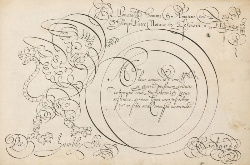 Writing sample with a griffin in scrollwork, 't Magazin oft pac-huys der loffelycker penn-const, print, album page, ornamental print, Writing sample with five lines of text in Latin: Mtus boni munus est ... Above it in French a dedication to Geleyn Pieters, alderman of Vlissingen. On the left a griffin in scrollwork., printmaker: Simon Frisius, after design by David Roelands, publisher: David Roelands, Flushing, dedicated to: Geleyn Pieters, 1616 - 1617, Simon Frisius, David Roelands, Geleyn Pieters, printmaker, after design by, publisher, paper, engraving, gravure, height 228 mm x width 345 mm, calligraphy, A large sheet with a pale, aged background shows an intricate flourish drawing formed by continuous dark ink lines that create looping spirals and rounded arcs; the left side features a decorative creature-like figure composed entirely of curled and coiled strokes with a beak-like shape, wing-like loops, and clawed feet made of small circular coils, while the right side is dominate...