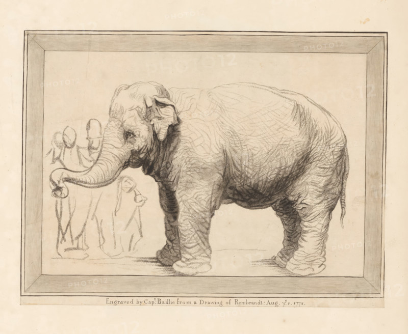 Elephant with bystanders, print, album page, printmaker: William Baillie, after drawing by Rembrandt van Rijn, 1778-08-01, paper, paste, crayon manner, etching in crayon manner, pasted on album page, height 221 mm x width 291 mm, trunked animals: elephant, A framed pencil drawing shows an elephant standing facing left with its head lowered and trunk curved downward, detailed wrinkled skin and textured shading on its body and legs. In the background inside the frame there are lightly sketched human figures standing near the elephant, rendered with minimal lines. The frame around the drawing has shaded edges and corner details, and the paper has a warm aged tone with some small spots and subtle discoloration.