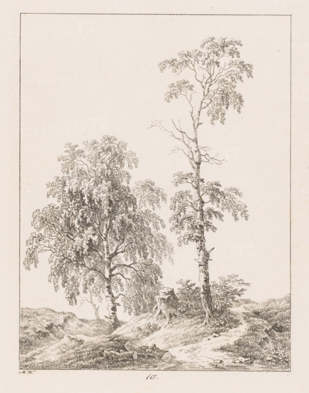 Tree stump between two trees, Templates for Landscape Drawers, Examples for the landscape artist, print, Series number, 10, 20, printmaker: Max Josef Wagenbauer, 1823, paper, lithography, height 375 mm x width 290 mm, Part of a two-part series of which the first part consists of a title print and twenty depictions of branches, leaves, trees and landscapes., trees, low hill country, A vertical pencil drawing shows a natural scene with two tall trees rising from a gently sloping, grassy ground. One tree is full with a dense canopy of leaves and many cascading branches, the other is straighter and more slender with a thinner crown and several bare branches. A tree stump with exposed roots sits between and slightly in front of the trunks. The foreground features a textured path or clearing with scattered small rocks and tufts of grass. Low distant hills and more vegetation appear along the horizon, and a narrow rectangular border frames the entire image.