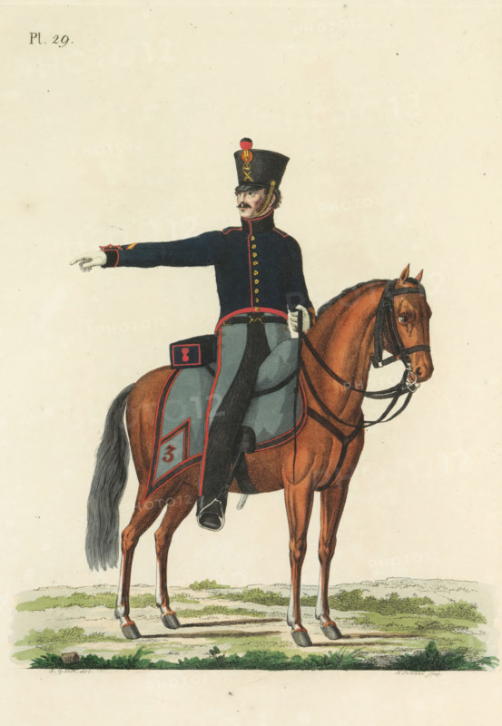Sergeant, on horseback, Artillery Train, print, A Dutch sergeant of the artillery train, on horseback. Plate 29. Uniform representation in 'Description of the Royal Dutch Troops' by JF Teupken, 1823., printmaker: K. Portman, Netherlands, after drawing by J. and VH, publisher: Jan Frederik Teupken, publisher: Gebroeders van Cleef, printer (person): Giunta d'Albani, Gebroeders, The Hague, 1823, K. Portman, J. en VH, Jan Frederik Teupken, Gebroeders van Cleef, Giunta d'Albani, printer (person), paper, etching, engraving, hand coloring, etching and engraving, hand colored, height 300 mm x width 205 mm, (military) uniforms, uniform, Period, 1820 - 1823, A man in a dark military uniform with a tall hat and white gloves sits astride a chestnut horse, the rider extending one arm outward while holding the reins with the other hand; the uniform features decorative buttons, contrasting trim, and a saddlecloth with a patterned border, and the horse wears bridle and reins and stands on grassy groun...