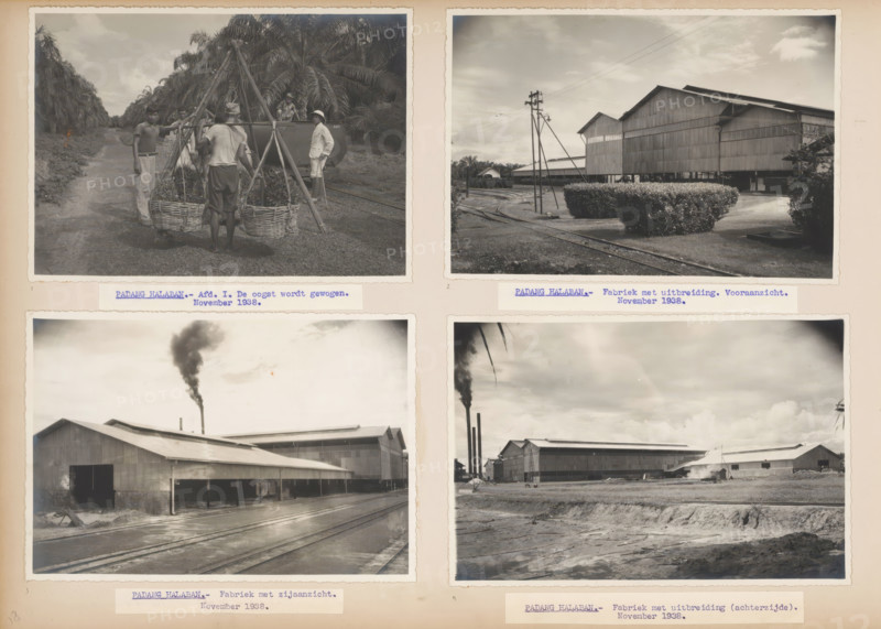 Oil factory in Padang Halaban, 1938, album page, photograph, Sheet with four photos of the palm oil factory in Padang Halaban, 1938. With labels with captions under the photos. Part of the photo album about the Pernantian and Brussels plantations of the Sumatra Caoutchouc Company on the East Coast of Sumatra in the years 1935-1939., inscription, Sumatra, 1938-11, photographer, paper, pasteboard, gelatin silver print, developing gelatin silver prints, height 140 mm x width 205 mm, height 335 mm x width 475 mm, Person, Sumatra Caoutchouc Maatschappij NV, factory-building, plantation, (non-fruit) products of plants or trees: palm oil, economic history, overseas history, palm oil culture, Period, 1935 - 1939, A grid of four black-and-white photographic prints mounted on a page is visible, each print showing industrial and plantation scenes; the top left print shows several people standing on a dirt path lined with tall palm trees, a makeshift wooden tripod supporting two woven baskets fill...