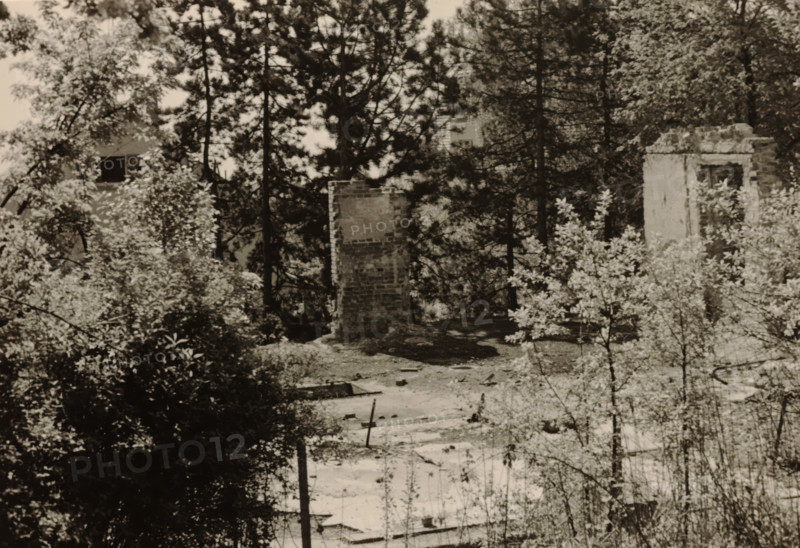 Part of a ruin, surrounded by dense vegetation of trees and shrubs, photograph, surrounded by dense vegetation of trees and shrubs., 1945 - 1970, photographer, paper, gelatin silver print, developed gelatin silver print, height 75 mm x width 105 mm, Period, A sepia-toned scene showing a wooded area with tall pine trees and dense undergrowth, several remnants of brick and stone structures standing among the vegetation, one upright brick pillar near the center and a taller ruined wall with an opening toward the right, scattered debris and patches of bare ground in the foreground, leafy shrubs and small trees filling much of the lower and left portions of the image, and branches and foliage partially obscuring the ruined structures.