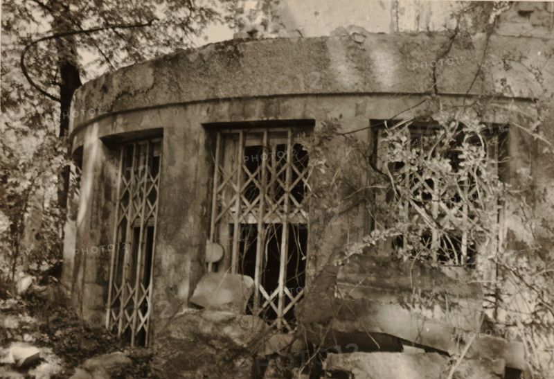 Circular part of a ruin, with bars in front of the windows, stones in the foreground and vegetation on the right, photograph, stones in the foreground and vegetation on the right., 1945 - 1970, photographer, paper, gelatin silver print, developed gelatin silver print, height 75 mm x width 105 mm, Period, A weathered concrete facade with a rounded top edge shows three vertical window openings fitted with metal lattice grilles, the central grille being more open and damaged; vines and climbing plants grow across the rightmost opening and along the wall, with bare branches and leaves intermingled with the metalwork; the surface of the structure is stained and textured, with cracks and patches of erosion; rocks and rubble sit at the base of the wall, and tree trunks and foliage frame the scene at the left and upper portions of the image.