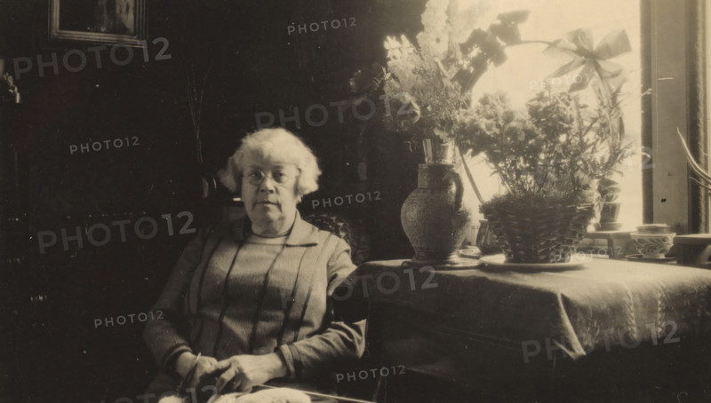 Portrait of Line van der Linden, photograph, photographer: circle of Cornelia Hendrika Jonker, Alkmaar, 1929, paper, gelatin silver print, developed gelatin silver print, height 63 mm x width 106 mm, Person, Line van der Linden, historical persons, interior of the house, An older woman with light-colored hair and round glasses sits in a chair, wearing a long-sleeved dress with vertical stripes and holding knitting needles and yarn in her hands, positioned next to a table covered with a cloth that holds a large ornate vase, a woven basket planter with tall foliage and flowers, and several small pots by a bright window.