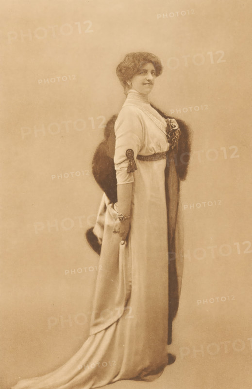 Portrait of Anna de Savornin Lohman, photomechanical print, annotation: 'Mevrouw, A. de Savornin -, - Lohman', name: 'Foto Ebner, The Hague.', photographer: Ferdinand Robert Ebner, The Hague, cliché maker: anonymous, in or after 1890, paper, collotype, photoprint, height 200 mm x width 130 mm, Person, Anna de Savornin Lohman, portrait of a writer, A sepia-toned portrait of a woman standing in profile, wearing a long, flowing gown with a high collar and fitted sleeves, a dark fur stole draped over her shoulders, a decorative belt at her waist, a tassel ornament on her sleeve, a bracelet on her wrist, and her hair styled in a voluminous updo while she looks slightly toward the camera with a faint smile.