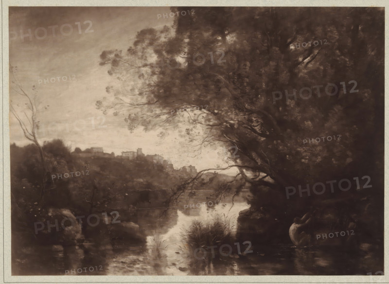 Photo reproduction of a painting by Camille Corot (landscape), photograph, publisher: Adolphe Braun & Cie., 1880 - 1900, pasteboard, paper, carbon print, paper on cardboard, height 270 mm x width 375 mm, Person, Camille Corot, A sepia-toned landscape showing a river reflecting light and surrounded by dense trees and foliage, with a large overhanging tree on the right whose branches extend across the scene and finer branches and leaves silhouetted against a lighter sky, a distant hillside with clustered buildings and rooftops visible along the horizon to the left, marshy plants and reeds growing at the water’s edge, rocky banks and shadowed undergrowth in the foreground, and varied textures of leaves and bark throughout the composition.