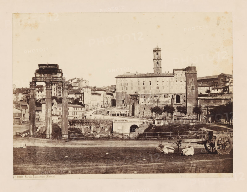 Roman Forum in Rome, Roman Forum (Roma), photograph, number: 'No. 1019.', c. 1875 - c. 1900, photographer, Rome, paper, pasteboard, albumen print, height 178 mm x width 238 mm, ruin of a building, architecture, temple, shrine, Roman religion, four-wheeled vehicle drawn by two animals, Forum Romanum, A sepia-toned photograph showing ancient stone columns with ornate capitals in the left foreground, a low wooden fence running across the middle ground, and a grassy open area in the front where two light-colored animals lie near a simple wooden cart with large spoked wheels; behind the columns there are multi-story buildings with rectangular windows and a tall bell tower rising above them, a curved elevated walkway and arched openings in a stone structure are visible, a row of trees stands along a terrace, and scattered ruins and masonry occupy the middle distance under a pale sky.