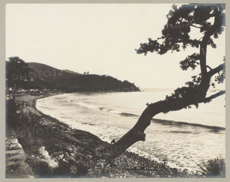 View of Atami, photograph, number: '25.', Atami, c. 1895 - c. 1915, photographer, paper, pasteboard, gelatin silver print, developing gelatin silver print, height 228 mm x width 288 mm, height 243 mm x width 329 mm, A black and white coastal scene showing a rocky shoreline with waves breaking along the beach, a large tree trunk and branches in the foreground extending out over the water with silhouetted foliage, a hillside and clustered buildings along the shore in the midground, gentle hills and distant headlands across the water, and a calm expanse of sea under a pale sky.