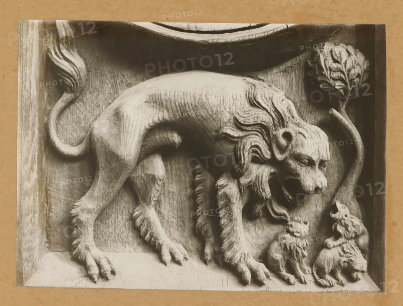 Detail of the choir stalls in Bamberg Cathedral, Chorgestühl i. Peterschor, Löwe, album page, photograph, This photo is part of an album., number: '170', Bamberg, 1900 - c. 1920, photographer, Bavaria, paper, baryta paper, gelatin silver print, developed gelatin silver print, height 165 mm x width 228 mm, interior of church, Bamberg Cathedral, A carved relief of a large animal with a mane, paws, and a curled tail occupies most of the frame, shown in a worn, textured stone with visible chisel marks; the animal's head is turned downward toward a smaller creature with a mane that sits before it, both figures rendered with flowing carved fur and expressive contours; a stylized plant with layered, rounded leaves rises beside the larger animal, and the background is recessed and rough compared to the smoother foreground elements; the entire relief sits within a rectangular border on a paperlike mat.