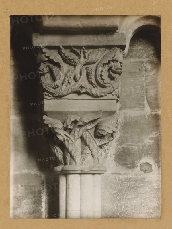 Capital in Bamberg Cathedral, East Church, Arkadencapitell, album page, photograph, This photo is part of an album., number: '18.', Bamberg, 1900 - c. 1920, photographer, Bavaria, paper, baryta paper, gelatin silver print, developed gelatin silver print, height 228 mm x width 169 mm, interior of church, Bamberg Cathedral, A carved stone column capital with ornate leaf and vine motifs sits against a textured stone wall, the capital featuring stylized animal heads partially entwined with scrolling foliage, above a fluted column shaft and a rounded abacus, all shown in a monochrome photograph with a narrow darker border and a plain paper mount around the image.
