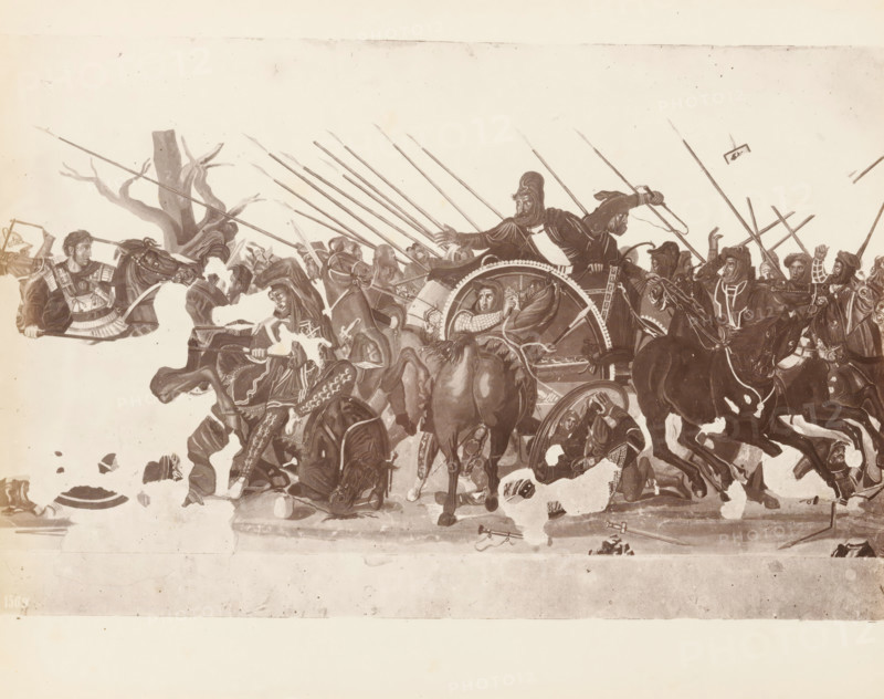Photo reproduction of the Alexander Mosaic from the House of the Faun in Pompeii, album page, photograph, reproduction, This photo is part of an album., workshop stamp: 'Giorgio Sommer, Largo Vittoria, Napoli', number: '1569', photographer: Giorgio Sommer, Naples, 1874 - in or before 1879, paper, albumen print, height 202 mm x width 254 mm, Person, Alexander the Great, Darius III (King of Persia), floor-covering, Alexander fighting against Darius at Issus, A wide horizontal scene rendered in muted tones showing a chaotic battle with mounted figures, a chariot, spears held upright and angled across the composition, and several men wearing helmets and various garments. Horses with bridles and saddles are depicted in motion, some rearing or colliding, with visible legs and hooves. One chariot wheel with decorative rim is prominent near the center, and a seated figure inside the chariot holds reins. Faces of men show varied expressions and headgear, including some with rounded helmets and ...