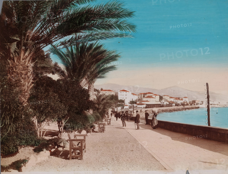 San Remo, Promenade te San Remo, Italy, La Promenade, photograph, number: '2184', 1880 - 1910, photographer, paper, pasteboard, daylight gelatin silver print, hand coloring, height 209 mm x width 274 mm, trees: palm tree, quay, A wide promenade runs along a curved shoreline with a low stone wall separating the walkway from calm water, and a line of palm trees and other dense foliage borders the opposite side of the path; several wooden benches sit along the promenade and a number of people in period clothing stand and walk, some leaning on canes and one woman wearing a long dress stands near the wall; in the background a coastal town with buildings featuring light walls and tiled roofs is set against low hills, and a tall wooden utility pole with wires stands near the water under a clear sky.