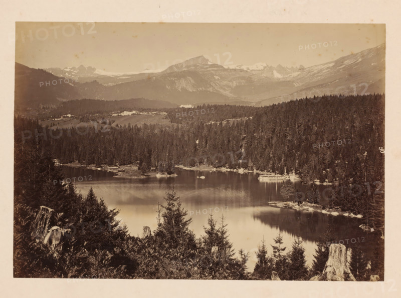 Cauma See, Flims, Switzerland, photograph, inscription: 'Cauma See (Flims)', number: '21', c. 1880 - c. 1900, photographer, pasteboard, paper, albumen print, albumendruk, height 175 mm, width 254 mm x width 379 mm, height 319 mm, A wide sepia-toned landscape photograph showing a calm lake surrounded by dense evergreen forest, with reflections of trees visible on the water surface. In the foreground there are tree stumps and low shrubs at the water's edge. Small rocky outcrops and islands appear along the shoreline. A light-colored rectangular structure is visible near the far shore. Rolling forested hills rise behind the lake, leading to higher ridges and rugged mountains with patches of snow near the peaks under a pale sky. The image has a pale border around it.