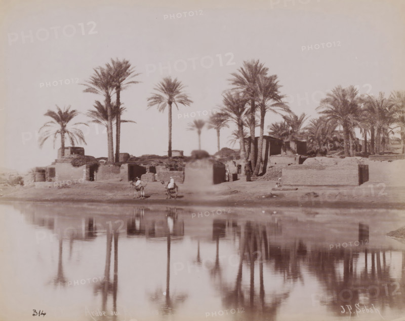 Landscape with water, palm trees and buildings, Middle East, photograph, Middle East., inscription: 'Village arabe aux Piramides ?', signature: 'JP Sebah', number: '314', photographer: Pascal Sébah, c. 1880 - c. 1900, paper, albumen print, height 212 mm x width 272 mm, A riverside scene showing a row of tall palm trees of varying heights standing behind low, mud-brick structures with simple openings, their trunks and fronds reflected in the calm water in the foreground; a few figures in traditional robes are near the water, some on camels and others standing or sitting, and scattered palm clusters and smaller vegetation occupy the area among the buildings, creating a horizontal composition with the sky occupying the upper portion.