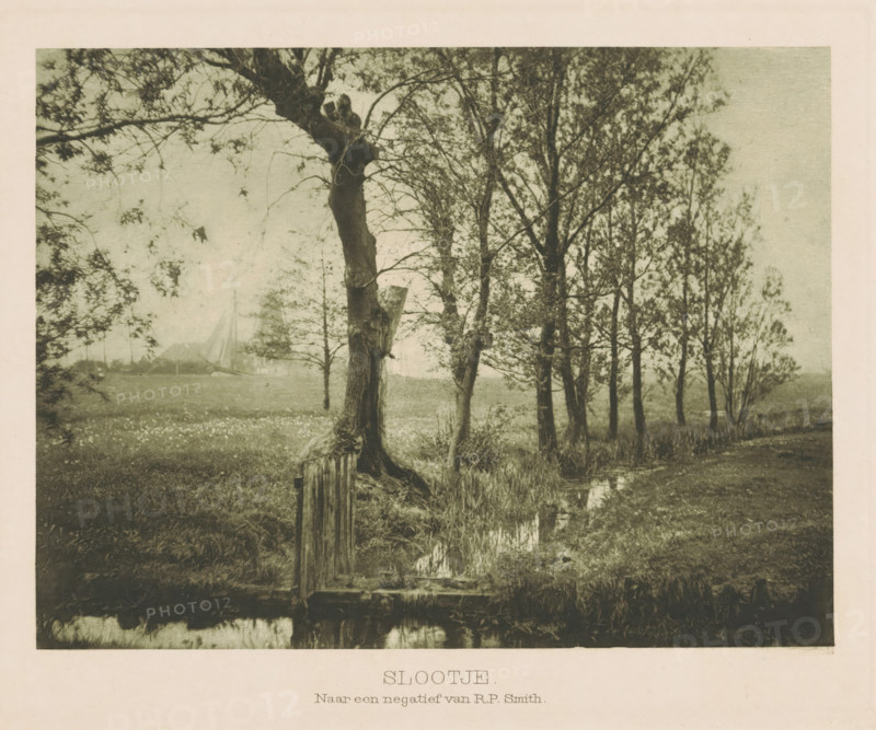 Slootje, Ditch between meadows, page, photomechanical print, photographer: RP Smith, Netherlands, cliché maker: anonymous, c. 1901 - in or before 1906, clichémaker, paper, photoaquatint, height 116 mm x width 154 mm, meadow, pasture, trees, small canal, ditch, A landscape scene showing a row of tall, thin trees with sparse leaves along a grassy field, a larger twisted tree trunk in the foreground with a broken wooden post and a small rustic wooden structure at its base, a narrow reflective stream running beside the trees, distant faint shapes of sails and a boat visible across the field, scattered low vegetation and grass in the foreground, and a pale sky above.