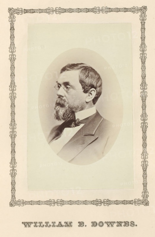 William E. Downes, photograph, page, c. 1876 - in or before 1881, photographer, paper, albumen print, height 95 mm x width 60 mm, adult man, A sepia-toned oval portrait of a middle-aged man in three-quarter profile facing left, showing short dark hair, a full beard and mustache, and small round eyeglasses, dressed in a dark jacket with a high white collar and a bow tie, mounted on a pale rectangular mat with an ornate decorative border surrounding the mat and portrait.