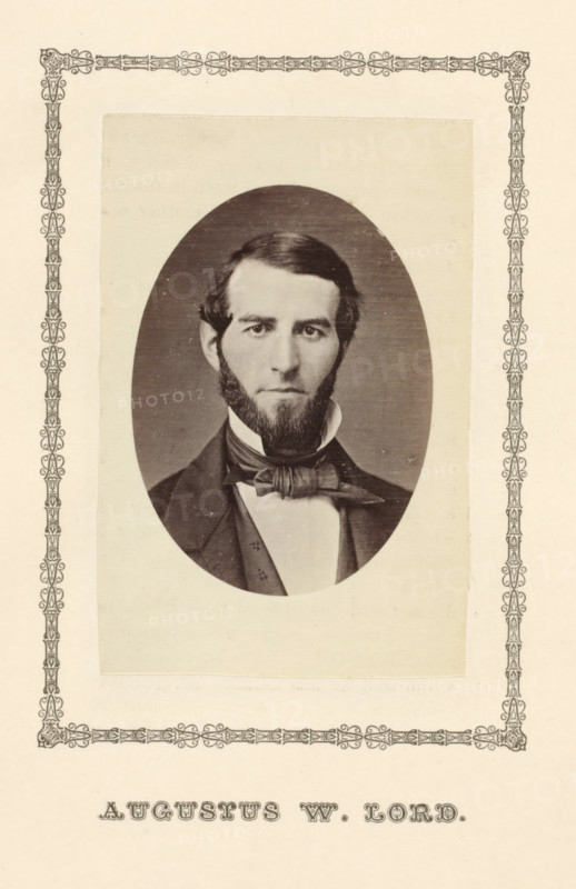 Augustus W. Lord, photograph, page, c. 1876 - in or before 1881, photographer, paper, albumen print, height 91 mm x width 60 mm, adult man, An oval black-and-white portrait of a man with dark hair and sideburns framed by a decorative rectangular border, the man facing forward with a neutral expression, wearing a dark jacket, a white shirt with a high collar, and a large bow tie, set against a plain light background.