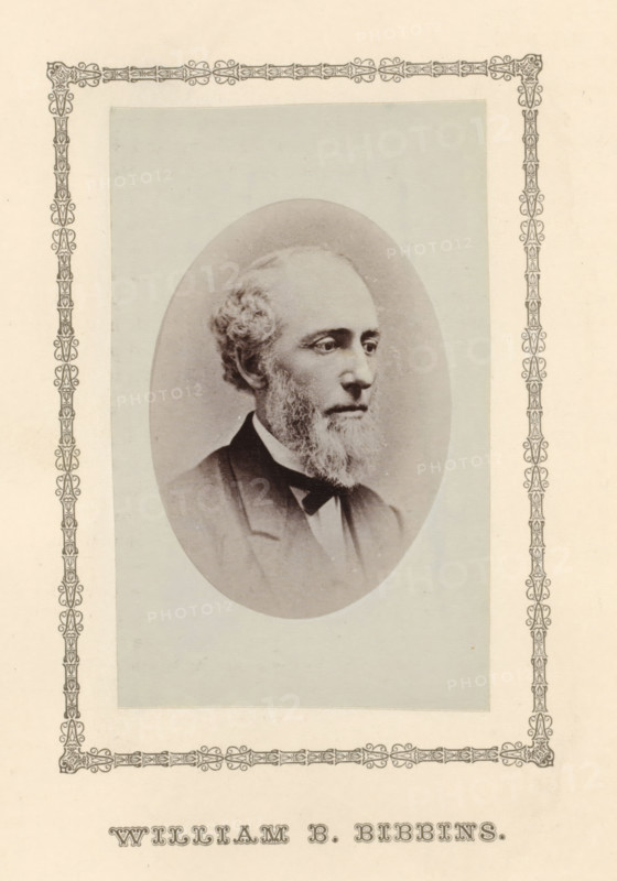 William B. Bibbins, photograph, page, c. 1876 - in or before 1881, photographer, paper, albumen print, height 98 mm x width 60 mm, adult man, A sepia-toned oval portrait of a middle-aged man with light curly hair at the temples and a full beard and mustache, shown in three-quarter profile facing right, wearing a dark suit jacket, white shirt, and a bow tie, centered on a pale rectangular background that is framed by an ornate decorative border with patterned corner elements.