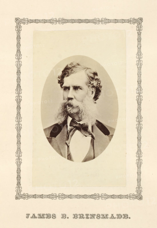 James B. Brinsmade, photograph, page, c. 1876 - in or before 1881, photographer, paper, albumen print, height 99 mm x width 60 mm, adult man, An oval sepia photograph of a man with wavy hair and prominent muttonchop sideburns and mustache, wearing a dark jacket with wide lapels, a light shirt, and a tied bow at the collar, mounted on a rectangular pale background and surrounded by a decorative ornate border.