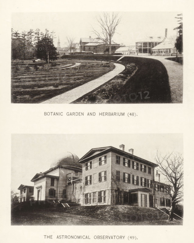 Botanic garden and herbarium, The astronomical observatory, page, photomechanical print, number: '(48) (49)', Cambridge (MA), c. 1881 - in or before 1886, North America, Massachusetts, paper, collotype, photoprint, height 168 mm x width 126 mm, Prints opposite page 60., facade (of house or building), botanic garden, 'hortus botanicus', observatory (, astronomy), Harvard College, A sepia-toned image shows two separate rectangular photographs stacked vertically on a pale background; the top photograph depicts a landscaped garden with curved walking paths bordered by low plant beds leading toward a complex of glass and wooden structures including a long greenhouse with many windows and a taller building with a pitched roof, a leafless tree standing near the buildings, and evergreen trees and a distant church steeple along the horizon; the bottom photograph shows a multi-story wooden building with many shuttered windows and a columned entrance next to a domed structure, with exterior stair...