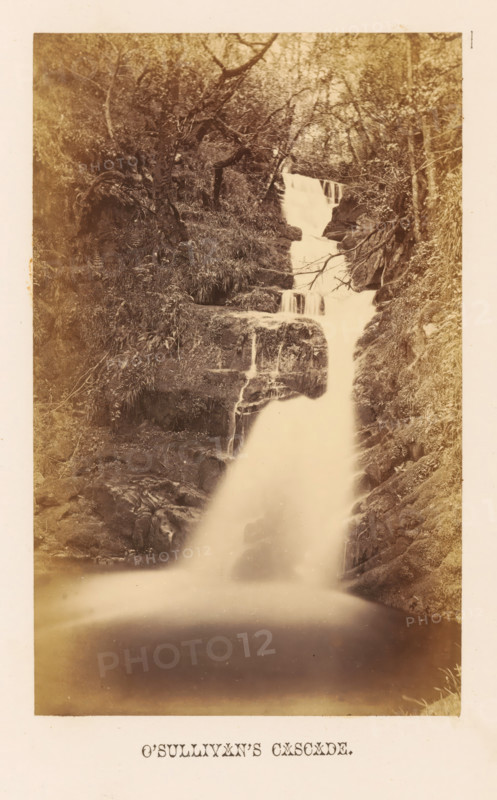 O'Sullivan's Cascade, View of O'Sullivan's Waterfall, photograph, page, photographer: John Hudson, Killarney, c. 1862 - in or before 1867, paper, albumen print, height 174 mm x width 108 mm, waterfall, Killarney National Park, A vertically oriented sepia photograph showing a multi-tiered waterfall cascading down rocky ledges surrounded by dense foliage and trees, with water flowing from an upper narrow drop into wider falls and continuing into a smooth misty pool at the base; rock faces and grassy vegetation frame both sides of the falls, and branches and tree trunks are visible among the foliage.