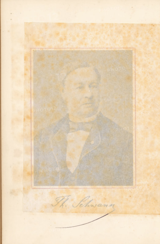 Manifestation en l'honneur de M. le professeur Th. Schwann : Liége, 23 juin 1878, book, annotation: 'APR, 2002', printer (person): L. Schwann, Düsseldorf, 1879, L. Schwann, printer (person), North Rhine-Westphalia, pasteboard, paper, textile materials, printing, albumen print, albumendruk, height 250 mm x width 162 mm x thickness 24 mm, A faded sepia-toned portrait photograph of a man mounted on aged paper with foxing spots across the surface; the man is shown from the chest up wearing a dark jacket, a light vest, and a bow tie, with short hair and a neutral expression, and a thin decorative border surrounds the photograph.