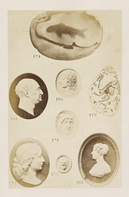 Six portraits in relief and two chalcedones, photograph, page, number: '174 - 182', photographer: F. Cole, c. 1857 - in or before 1867, paper, albumen print, height 164 mm x width 104 mm, gem, gemstone, sculpture (relief, sculpture), A vertical sheet displaying a series of oval and rounded relief images arranged in rows, including a large fish-shaped shadow inside a rounded, shallow bowl at the top, an oval profile portrait of a man with short hair and a dark background, a smaller oval relief of a youthful head in three-quarter view, an irregularly shaped stone with swirling patterns, a rounder relief of a face with soft features, a left-facing profile of a braided-haired woman in an oval frame, a small circular face with a stylized expression, and an oval framed bust of a woman in three-quarter profile, all rendered in sepia tones on a pale background.