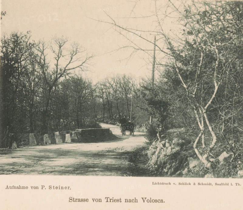 View of a horse-drawn cart on a path, Strasse von Triest nach Volosca, page, photomechanical print, photographer: P. Steiner, maker: Schlick, v. & Schmidt, c. 1894 - in or before 1899, paper, collotype, photogravure, height 82 mm x width 115 mm, road, path, trees, animal traction, animal-drawn vehicle (carriage etc.), A narrow unpaved road winds through a wooded area with bare-branched trees on both sides and dense underbrush, a stone wall running along the right edge with exposed rocks and slender pale-barked trunks in front, and a small horse-drawn cart with a covered rear traveling away along the road toward a darker cluster of trees in the distance under a pale sky.