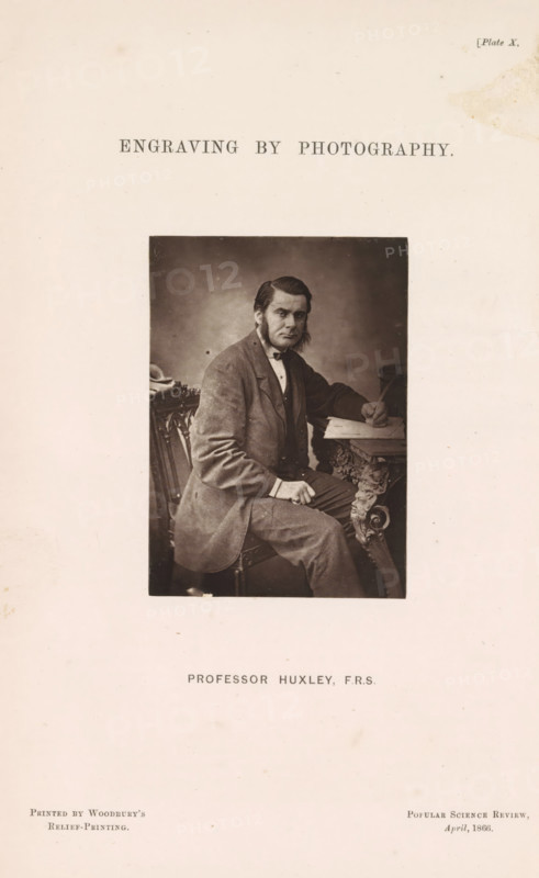 Professor Huxley, FRS, Engraving by photography, page, photomechanical print, cliché maker: Walter Bentley Woodbury, c. 1861 - in or before 1866-04, photographer, paper, Woodburytype, height 85 mm x width 61 mm, Person, Thomas Henry Huxley, historical persons (three-quarter length portrait), A sepia-toned portrait of a man seated beside an ornate carved table, wearing a dark suit jacket and light shirt with a bow at the collar, his hand resting on the table near a stack of papers and a pen, the other hand resting on his knee, his hair combed back with sideburns, a serious facial expression, the portrait set against a plain darker backdrop and mounted on a larger sheet with ample blank margins.
