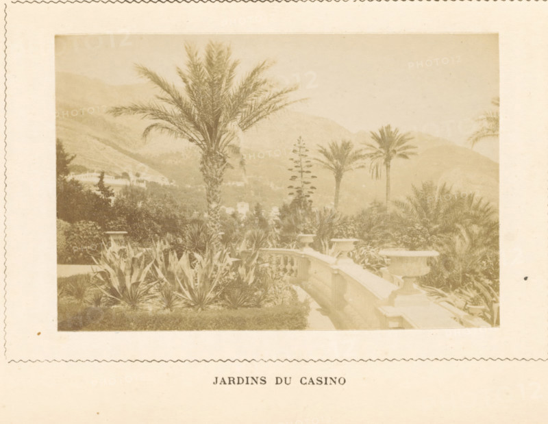 View of the gardens of the Monte Carlo casino in Monaco, Jardins du Casino, photograph, page, Monaco, c. 1873 - in or before c. 1878, photographer, paper, albumen print, albumendruk, height 59 mm x width 88 mm, garden, casino, Monte Carlo, Monte Carlo Casino, A sepia-toned photograph shows a garden scene with tall palm trees rising above dense foliage and spiky agave-like plants in the foreground, a curved stone balustrade with urn-like planters alongside a pathway, distant hills forming a hazy backdrop, and various shrubs and trees filling the middle ground.