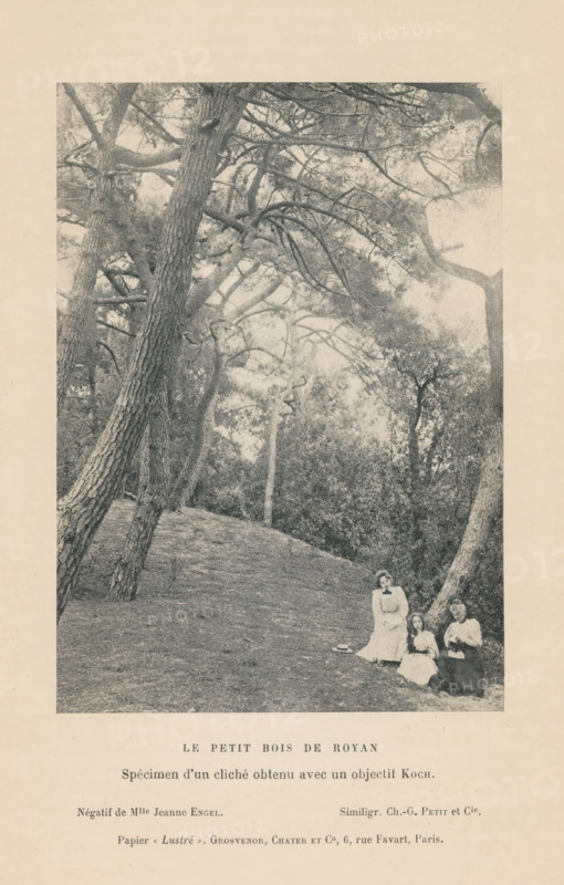 Three women in the forest of Royan, France, Le Petit Bois de Royan, page, photomechanical print, inscription: 'Specimen d'un cliché obtenu avec un objectif Koch., Négatif de Mlle Jeanne Engel. Similigr. Ch.-G. Petit et Cie., Papier &lt, Lustré &gt, . Grosvenor, Chater et Co, 6, rue Favart, Paris.', photographer: Jeanne Engel, Royan, cliché maker: Petit et Cie., c. 1891 - in or before 1896, Jeanne Engel, Petit et Cie., photographer, cliché maker, paper, autotype, similigravure, height 130 mm x width 93 mm, forest, wood (landscape with figures, staffage), A monochrome photograph framed on a page shows a wooded hillside with tall, leaning trees with textured bark and spreading branches filling the upper area, a grassy slope in the middle ground, and three seated women in period dresses at the lower right edge, two sitting on the ground and one seated slightly higher, with a hat placed nearby.