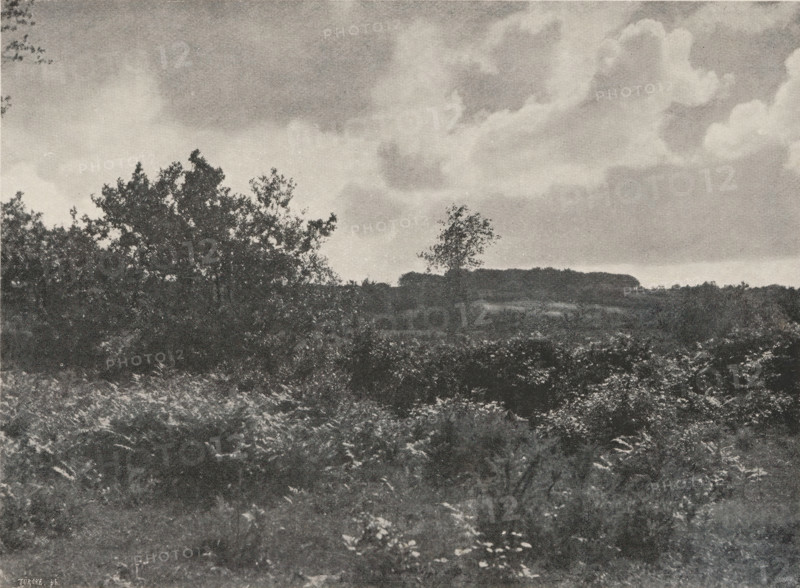 Breton landscape, Lande Bretonne, page, photomechanical print, photographer: Constant Puyo, Brittany, cliché maker: Türcke, Munich, c. 1891 - in or before 1896, Bavaria, paper, autotype, zincogravure, height 111 mm x width 150 mm, landscapes, A rectangular black-and-white photograph framed by a light border shows a landscape with a foreground of dense low vegetation and leafy plants, a middle ground with taller shrubs and a few small trees with irregular canopies, and a distant ridge of treetops along the horizon; above, a sky filled with layered clouds ranging from soft, diffuse formations to more defined, billowing shapes.