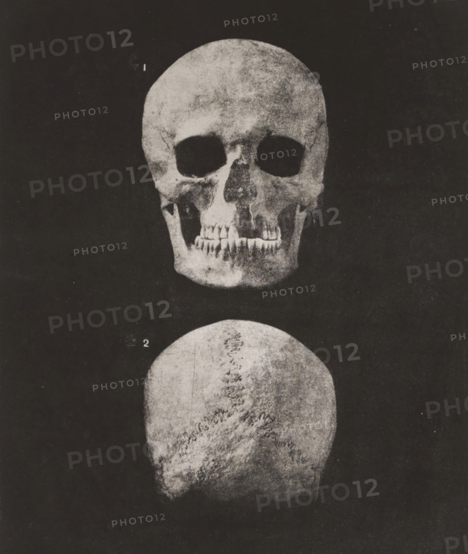 Two views of a human skull, front view and back view, 1. TÊTE HUMAINE FACE, 2. IDEM OCCIPUT VOIR PL. 33. 1, 2 nature, page, photomechanical print, inscription: 'Ville de Paris. Atelier des Travaux historiques E. Lacan, dir. Procédé special photo-lithographique.', number: 'Pl. 34', monogram: 'LEL', France, cliché maker: Ville de Paris Atelier des Travaux historiques, Paris, publisher: Imprimerie Impériale, supervision: Ernest Lacan, c. 1860 - in or before 1869, photographer, paper, photolithography, height 237 mm x width 188 mm, For location of print in book: see number under 'Inscriptions, Brands'., animals (skeleton of an animal), palaeontology, A vertically oriented black and white image shows two human skull views against a dark background, the upper view facing forward and the lower view showing the top of the skull. The forward-facing skull displays eye sockets, nasal cavity, and a visible set of upper and lower teeth, with varied surface texture and shading. The top-view skull sh...