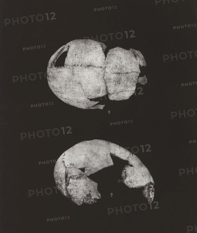 CRÂNE HUMAIN. 1. SINCIPUT, 2. PROFIL 1, 2 nature, Two views of a human skull, top view and en profile, page, photomechanical print, number: 'Pl. 48', monogram: 'LEL', inscription: 'Ville de Paris. Atelier des Travaux historiques. E. Lacan dir. Procédé spécial photo-lithographique.', France, cliché maker: Ville de Paris Atelier des Travaux historiques, Paris, publisher: Imprimerie Impériale, supervision: Ernest Lacan, c. 1860 - in or before 1869, photographer, paper, photolithography, height 239 mm x width 189 mm, For location of print in book: see number under 'Inscriptions, Brands'., animals (skeleton of an animal), palaeontology, A vertical black rectangle framed by a thin white border contains two grayscale fragmented skull illustrations on a dark background, one near the top showing an upper rounded portion with missing sections and rough textured surfaces, and one below showing a rounded fragment with irregular gaps and worn edges; a thin white margin surrounds the rectangle with ...