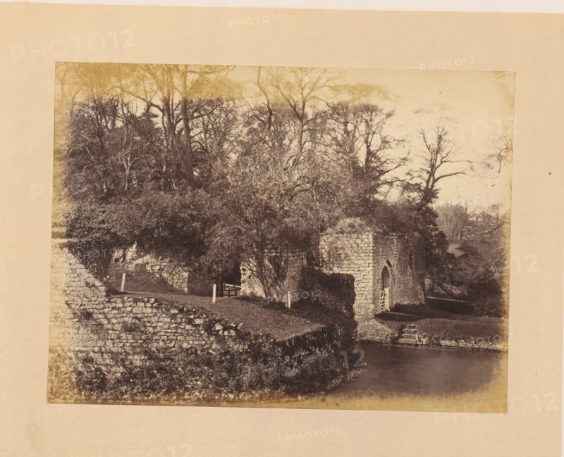 Fortress gate of Leeds Castle, photograph, page, inscription: 'No.3.', photographer: John Cruttenden, Leeds Castle, c. 1864 - in or before 1869, Leeds, paper, albumen print, height 153 mm x width 204 mm, landscape with tower or castle, castle, gate, entrance, A sepia-toned photograph shows a stone ruin with an arched doorway partially obscured by foliage, situated beside a body of water. Dense trees with bare and leafy branches rise behind and above the ruin, their trunks and tangled limbs forming a dark canopy. A stone wall and terraced grassy areas lead down toward the water, with short fence posts and a wooden gate visible on the grassy path. The surface of the water appears calm and reflective near the stone edge. The image is bordered by a plain light-colored mat.