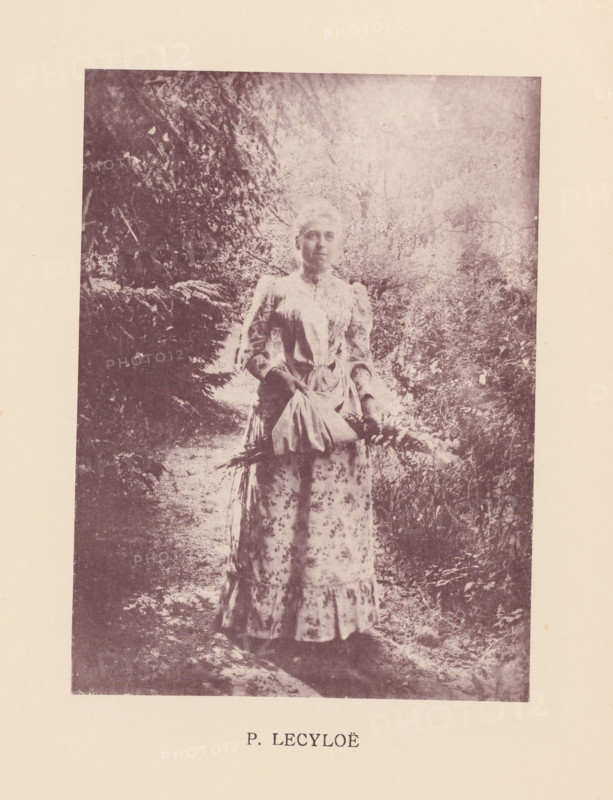Portrait of an unknown woman in the forest, Sentiment d'Art en Photographie, photomechanical print, This print is part of 8 covers with 22 text sheets and 89 prints on loose sheets in and between the covers., number: 'Vol. 1, No 3, Planche 2.', photographer: P. Lecyloë, clichémaker: anonymous, printer (person): Liorel & Cie., c. 1893 - in or before 1898-10, P. Lecyloë, Liorel & Cie., photographer, clichémaker, printer (person), paper, collotype, photogravure, height 219 mm x width 160 mm, historical persons - BB - woman, forest, wood, A faded black-and-white photograph of a woman standing on a dirt path surrounded by dense foliage, wearing a long, patterned dress with puffed sleeves and a fitted bodice, holding a bundle of long-stemmed flowers or plants in front of her, with trees and bushes forming a shaded backdrop and light filtering through the leaves.