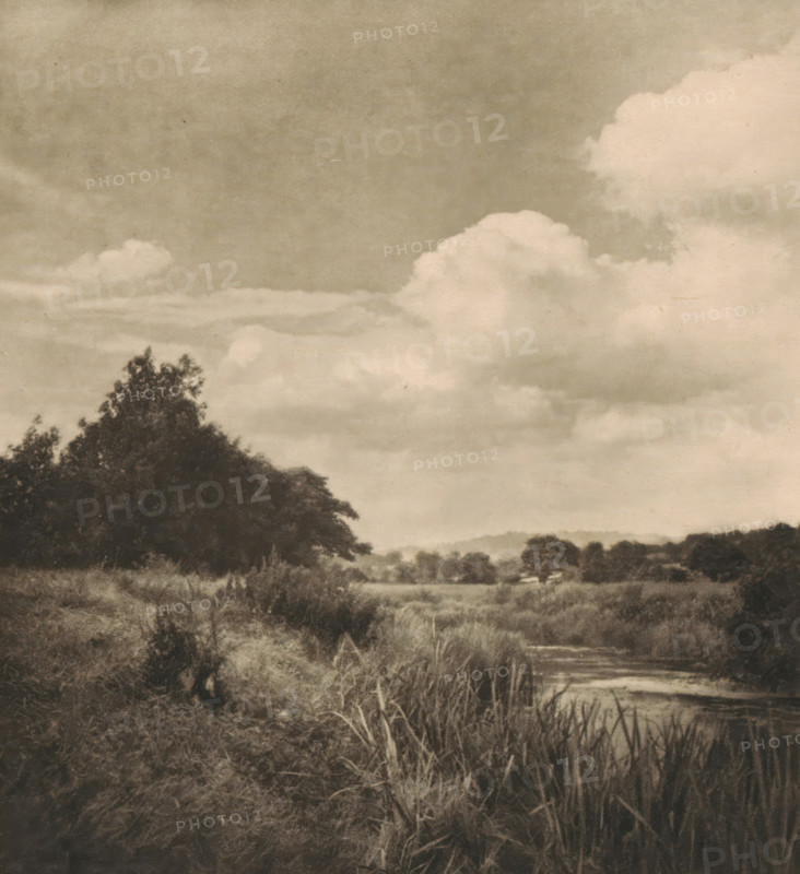 Landscape in Great Britain, page, photomechanical print, inscription: 'GB. I.', photographer: Alfred Horsley Hinton, cliché maker: anonymous, c. 1900 - in or before 1905, paper, photoaquatint, height 131 mm x width 117 mm, landscapes in the temperate zone, Great Britain, A sepia-toned photograph shows a landscape with a large leafy tree on a grassy bank at the left, tall reeds and grasses in the foreground, and a narrow winding stream or river running through the scene toward the right; distant low hills and scattered trees appear along the horizon, and the sky above is filled with large fluffy clouds.