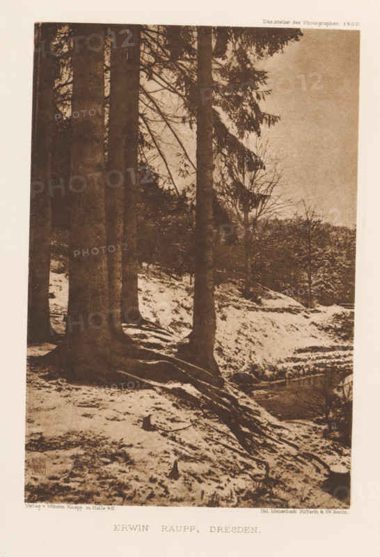 Winter landscape with trees, page, photomechanical print, inscription: 'Das Atelier des Photographen 1900.', photographer: Erwin Raupp, Dresden, cliché maker: Meisenbach, Riffarth & Cie., Berlin, publisher: Wilhelm Knapp, Halle an der Saale, 1900, Saxony-Anhalt, Saxony, paper, photoaquatint, height 188 mm x width 128 mm, trees, winter landscape, landscape symbolizing winter (the four seasons of the year), A sepia-toned photograph showing a forest scene with several tall tree trunks in the foreground and branches extending upward and outward, a sloped, snowy ground with exposed roots and patches of bare earth, a stream or depression running along the lower right edge, denser trees and undergrowth in the midground, and a pale sky visible above the treeline.